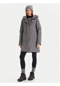 The North Face Parka Arctic NF0A84J2 Szary Regular Fit. Kolor: szary. Materiał: syntetyk #3