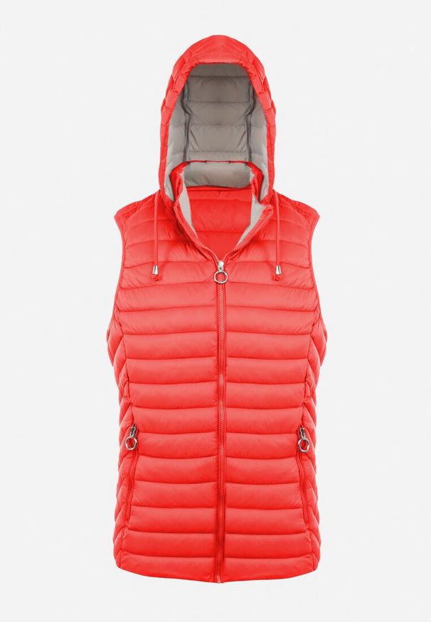 Born2be - Czerwona Kamizelka z Kapturem Pikowana Cotra. Okazja: na co dzień. Typ kołnierza: kaptur. Kolekcja: plus size. Kolor: czerwony. Długość: długie. Materiał: materiał. Długość rękawa: długi rękaw. Sezon: jesień, wiosna. Styl: casual