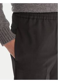 Weekend Max Mara Spodnie materiałowe Petra 2525136032 Czarny Regular Fit. Kolor: czarny. Materiał: syntetyk