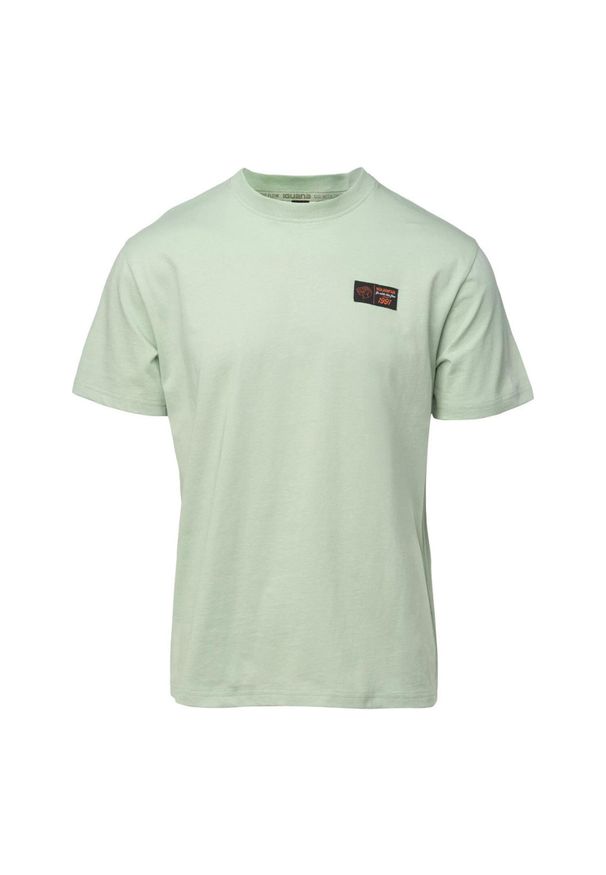 Iguana - T-shirt Męski Igwezi. Kolor: zielony
