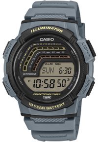 Zegarek męski Casio WS-1800-2AVEF niebieski. Kolor: niebieski #1