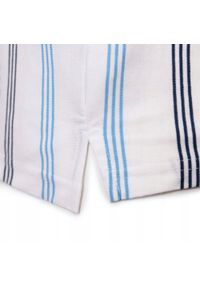 Męska Koszulka Polo - Pako Jeans - Biała w Prążki. Okazja: na co dzień. Typ kołnierza: polo. Kolor: niebieski. Materiał: bawełna. Wzór: prążki, paski. Styl: casual #4