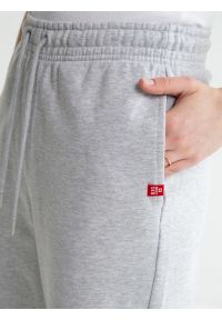 Big-Star - Spodnie damskie dresowe szare Yeva 901. Kolor: szary. Materiał: dresówka