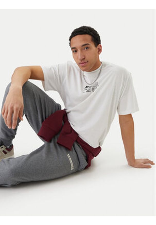 DC Shoes Spodnie dresowe Baseline ADYFB03069 Szary Regular Fit. Kolor: szary. Materiał: bawełna