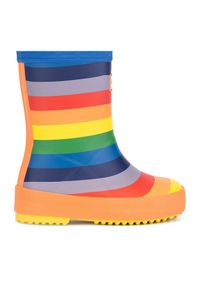 Kalosze Hunter. Wzór: kolorowy #1