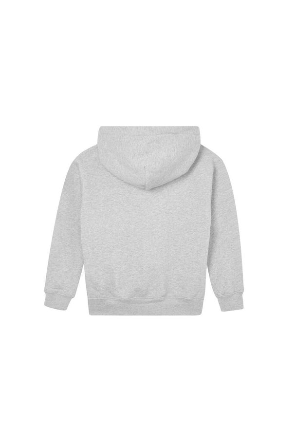 MANTIS - Bluza Z Kapturem Dla Dzieci. Typ kołnierza: kaptur. Kolor: szary