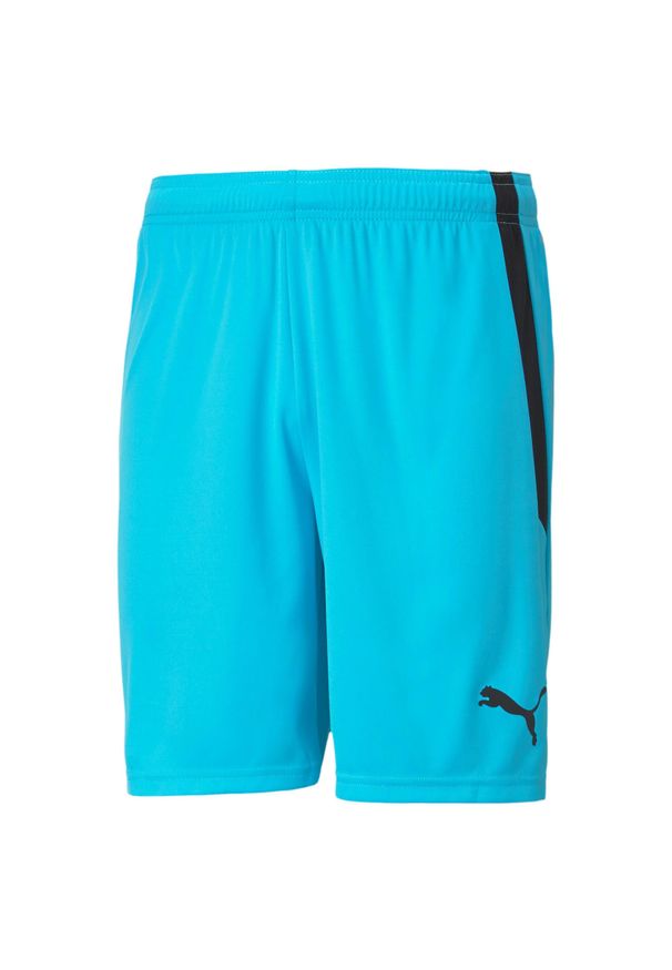 Spodenki sportowe męskie Puma Teamliga. Kolor: niebieski, czarny, wielokolorowy. Materiał: syntetyk, materiał. Długość: krótkie. Sport: piłka nożna