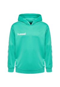 Bluza dziecięca z kapturem Hummel hmlPROMO Poly. Typ kołnierza: kaptur. Kolor: zielony. Materiał: poliester. Sport: joga i pilates