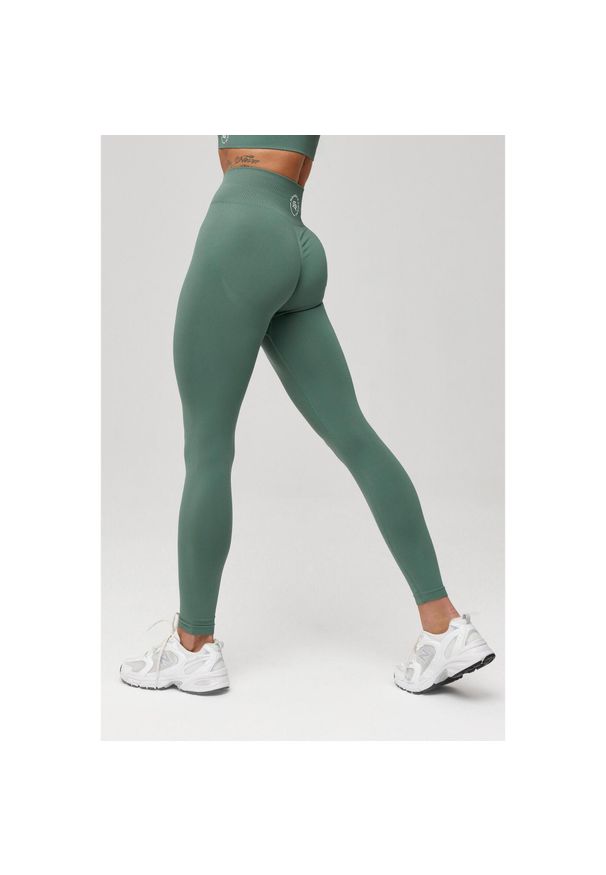 ROUGH RADICAL - Damskie legginsy treningowe bezszwowe Rough Radical Seamless Classic. Kolor: zielony. Sport: fitness
