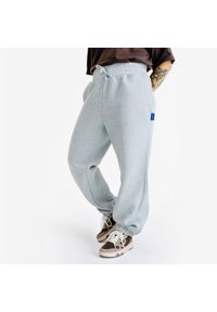 Decathlon - Spodnie dresowe damskie Elementals. Kolor: szary. Materiał: poliester, bawełna, materiał #1