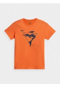 4f - T-shirt z nadrukiem chłopięcy. Kolor: pomarańczowy. Materiał: bawełna, dzianina, materiał. Wzór: nadruk