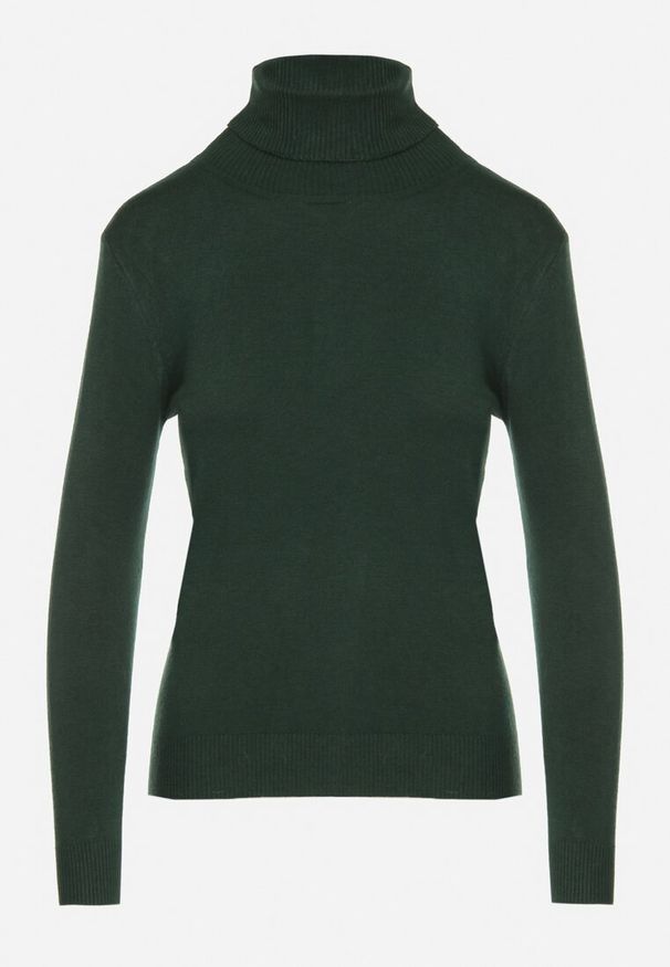 Born2be - Ciemnozielony Klasyczny Golf z Bawełną Reilisea. Okazja: na co dzień. Typ kołnierza: golf. Kolor: zielony. Materiał: bawełna. Styl: klasyczny