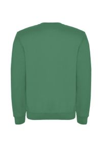 ROLY - Bluza Unisex Dla Dorosłych Clasica Z Okrągłym Dekoltem. Kolor: zielony