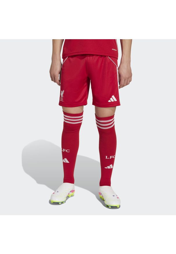 Adidas - Spodenki podstawowe Liverpool FC 25/26. Kolor: czerwony. Sezon: lato. Sport: piłka nożna