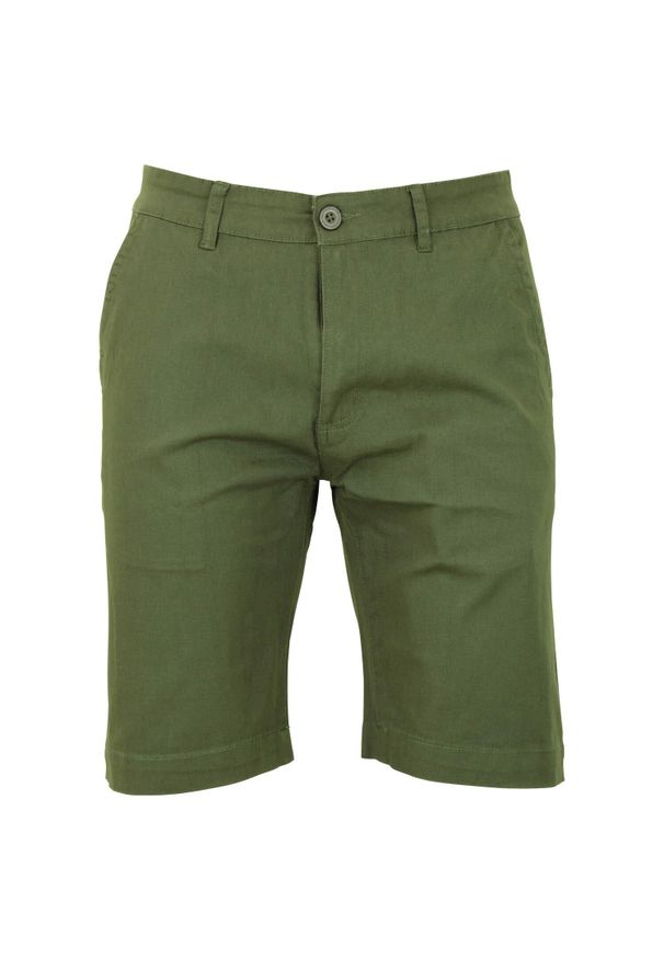 PEAK MOUNTAIN - Bermudy Peak Mountain Cechino. Kolor: zielony. Sport: turystyka piesza