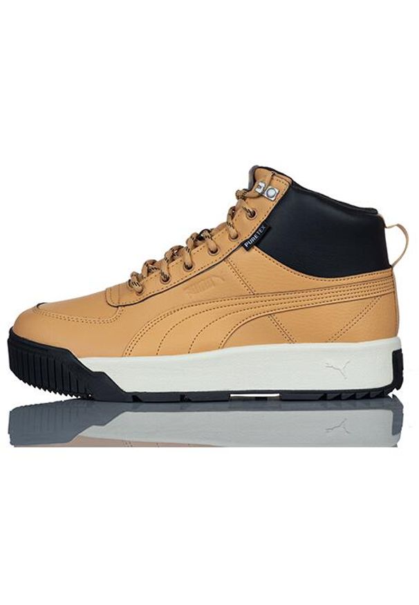 Buty Sportowe Męskie Puma Tarrenz Sb Puretex. Kolor: brązowy