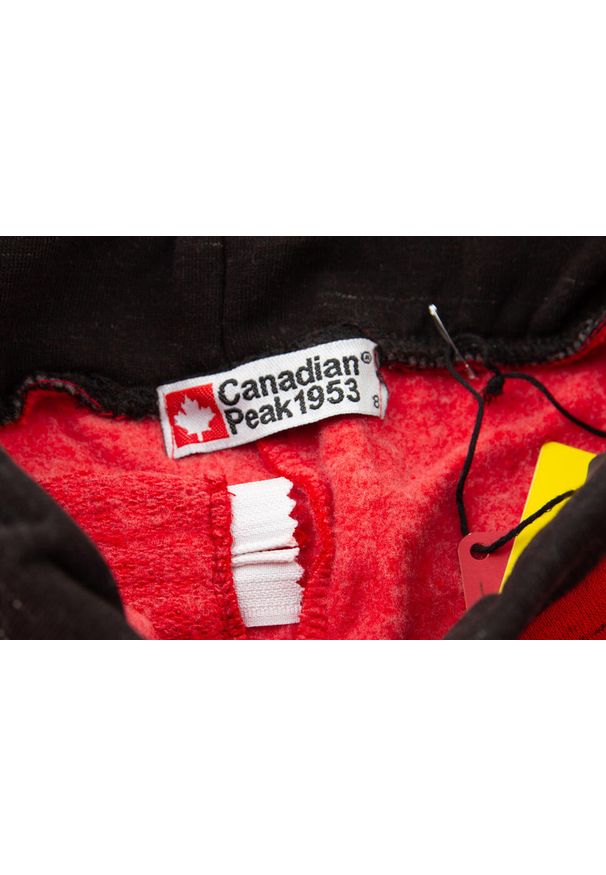 CANADIAN PEAK - Spodnie turystyczne dla dzieci Canadian Peak Madigan. Kolor: czerwony. Materiał: poliester, bawełna. Sezon: lato. Sport: turystyka piesza