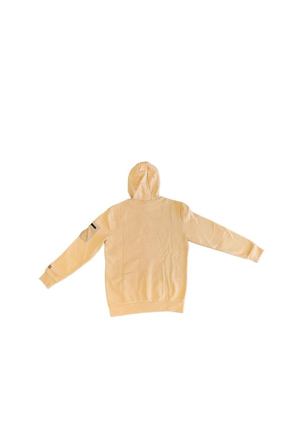 Bluza z kapturem Ellesse transient. Typ kołnierza: kaptur. Kolor: beżowy