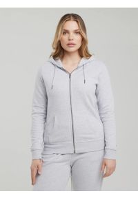 Big-Star - Bluza damska z kapturem szara Laurisana 901. Typ kołnierza: kaptur. Kolor: szary. Styl: klasyczny, sportowy #6