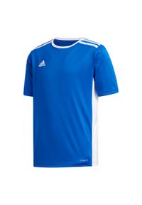 Adidas - Koszulka dla dzieci adidas Entrada 18 Jersey JUNIOR. Kolor: niebieski, biały, wielokolorowy. Materiał: jersey. Sport: piłka nożna