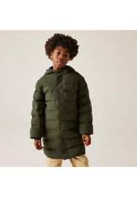 DARE 2B - Płaszcz dziecięcy zimowy Wander Dare 2b. Kolor: zielony. Materiał: tkanina, poliester, puch. Sezon: zima. Styl: sportowy #1