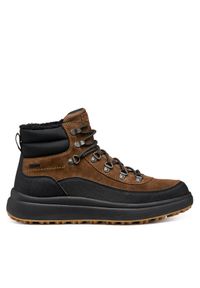 Trekkingi Geox. Kolor: brązowy. Sport: turystyka piesza #1