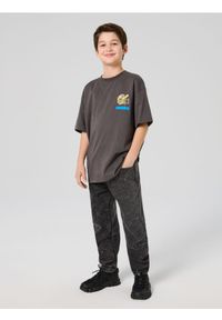 Sinsay - Jeansy jogger z efektem sprania - szary. Kolor: szary #1