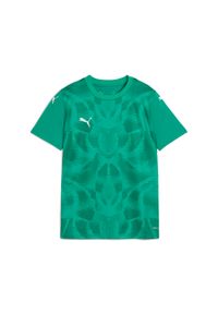 Koszulka dla dzieci Puma TeamUltimate. Kolor: zielony. Sport: piłka nożna #1