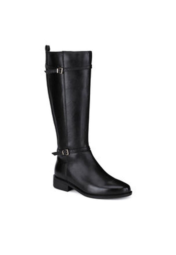 Sergio Bardi Kozaki WI34-GINNY-01SB Czarny. Kolor: czarny. Materiał: skóra