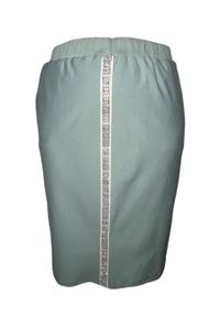 Moda Size Plus Iwanek - Błękitna dresowa spódnica Bea na gumce OSTATNIE SZTUKI PLUS SIZE XXL. Kolekcja: plus size. Kolor: niebieski. Materiał: dresówka. Długość: do kolan. Wzór: aplikacja. Styl: elegancki #1