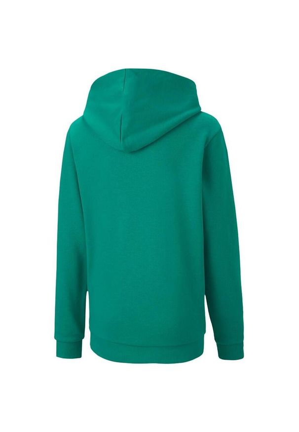 Puma - Bluza Dziecięca TeamGoal 23 Casual Hoodie. Kolor: zielony