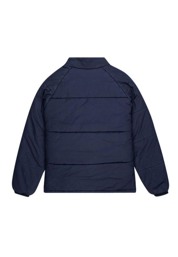 Kurtka sportowa męska Element Oddysey Puffa. Kolor: niebieski. Materiał: elastan, poliamid. Sport: turystyka piesza