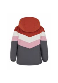 Dziecięca kurtka narciarska Protest PRTNOI TD. Kolor: wielokolorowy, czerwony, pomarańczowy. Sezon: zima. Sport: narciarstwo #2