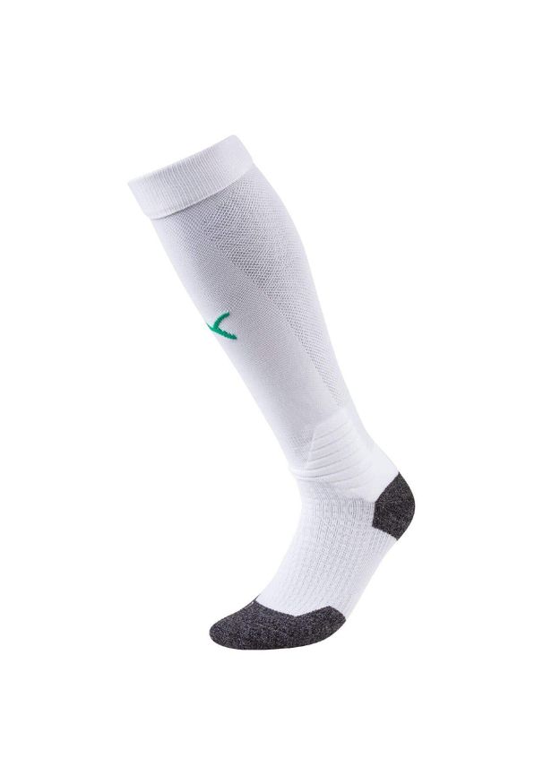 Drużyna Puma Liga Football Boots Czarny rozmiar 39-42. Kolor: biały, wielokolorowy. Sport: piłka nożna
