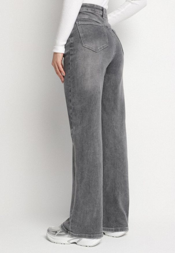 Born2be - Szare Jeansy o Szerokim Kroju z Wysokim Stanem Sesarina. Okazja: na co dzień. Stan: podwyższony. Kolor: szary. Długość: długie. Styl: elegancki, casual