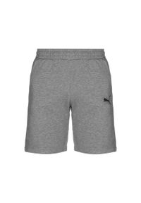 Spodenki męskie Puma TeamGOAL 23 Casuals Shorts szare. Kolor: szary. Sport: fitness #1
