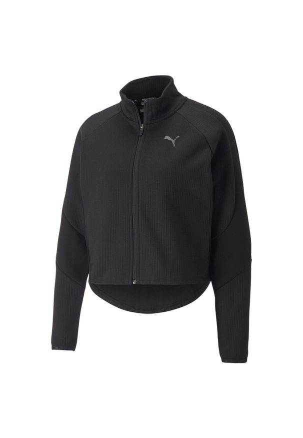 Bluza sportowa Puma Evostripe. Kolor: czarny