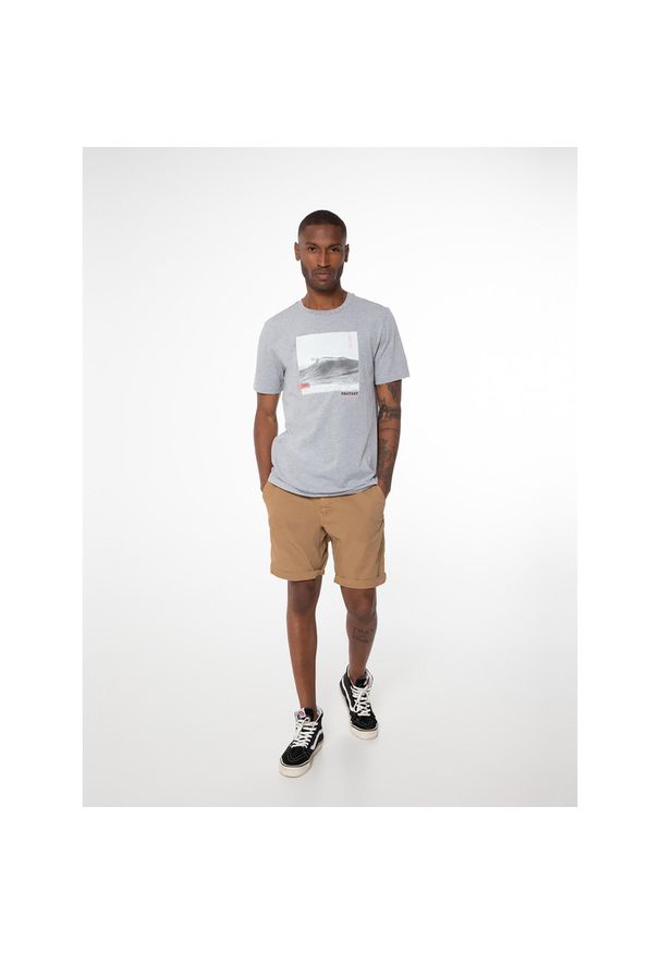 T-shirt męski Protest PRTJOKKUM. Kolor: szary. Wzór: nadruk. Sezon: lato. Sport: turystyka piesza