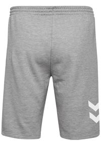 Spodenki sportowe dla dzieci Hummel Go Kids Cotton Bermuda Shorts. Kolor: szary. Styl: sportowy