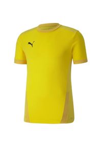 Koszulka do piłki nożnej męska Puma teamGOAL 23 Jersey. Kolor: żółty. Materiał: jersey #1