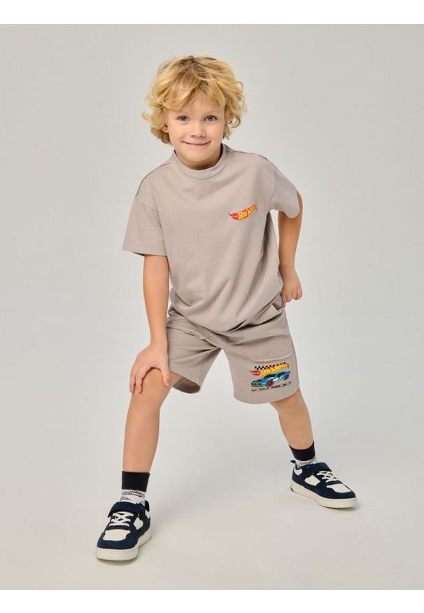 Sinsay - Szorty dzianinowe z nadrukiem Hot Wheels - szary. Kolor: szary. Materiał: dzianina. Wzór: nadruk