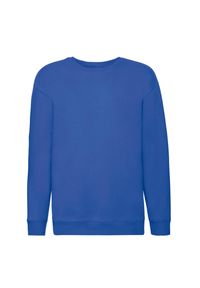 FRUIT OF THE LOOM - Bluza Dziecięca Premium. Kolor: niebieski