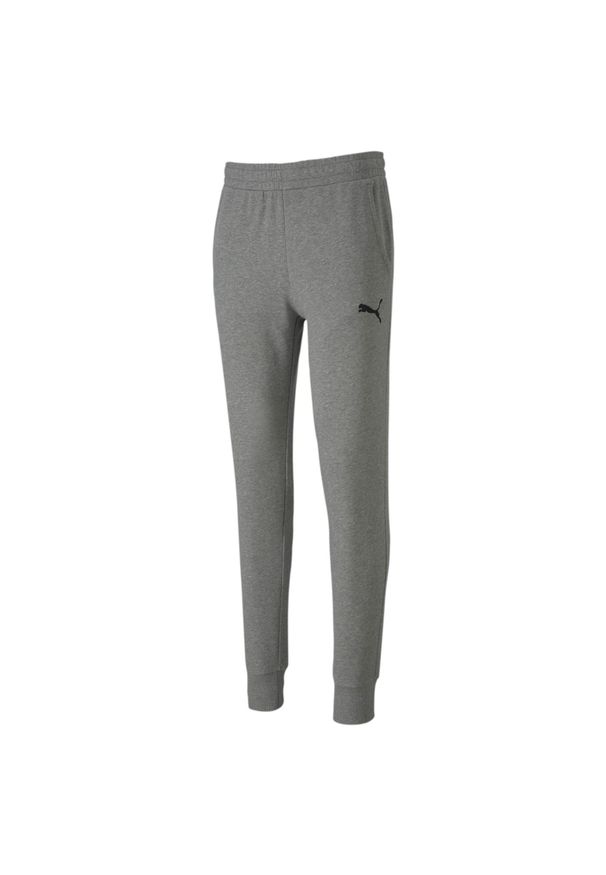 Spodnie dresowe męskie Puma teamGOAL. Kolor: szary. Materiał: dresówka. Sport: piłka nożna
