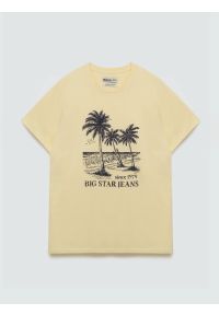 Big-Star - Koszulka męska z kontrastowym nadrukiem żółta Omer 200. Kolor: żółty. Materiał: bawełna, denim. Wzór: nadruk. Sezon: lato. Styl: klasyczny #6