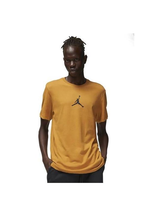 Koszulka sportowa męska Nike M Jordan Jumpman Df Ss Crew. Kolor: wielokolorowy. Długość rękawa: krótki rękaw. Długość: krótkie