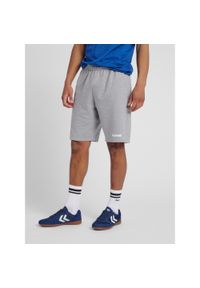 Spodenki sportowe męskie Hummel Go Cotton Bermuda Shorts. Kolor: szary