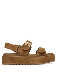 Steve Madden Sandały Bigmona 11003034 Brązowy. Kolor: brązowy. Materiał: zamsz, skóra #1