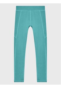 Regatta Legginsy Atkin II RKJ125 Zielony Slim Fit. Kolor: zielony. Materiał: syntetyk