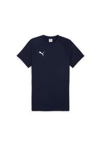Koszulka Puma Team Evostripe. Kolor: niebieski. Sport: piłka nożna #1