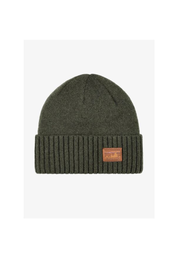 Czapka zimowa Patagonia Brodeo Beanie - skyline pine needle green. Kolor: zielony. Sezon: zima